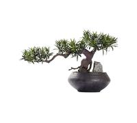 Piante finte Alberi Bonsai Artificiale Bonsai Tree Ceramic Poto