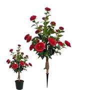 Piante Finte da Esterno - Camelie con da Terra per Decorazioni Primaverili - Albero Finto per Portico - per esterno patio cortile paesaggio casa ufficio regalo donna