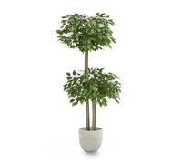 Piante Finte da Interno - Ficus Artificiale, 150 x 60 cm con 2 Chiome di Foglie, Albero Artificiale con Vaso in Plastica, Decorazioni Casa