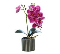 Piante Finte Flora Artificiale Decorativa 12,6 Pollici Di Altezza Realistica Pianta Di Orchidea Artificiale in Un Vaso Vero Tocco Decorativo Bonsai Fiori Finti Fiori Artificiali in Vaso Piante