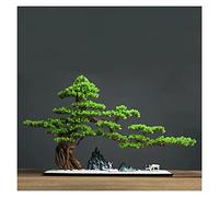 Piante Finte/Piante Artificiali Pino Artificiale Alto 21 Pollici, Pino Artificiale Bonsai, Utilizzato Come Decorazione Con Piante Verdi Artificiali In Una Sala Da Tè Di Un Hotel Piante Artificiali Da