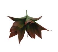 Piante Finte Ramo Di Agave Artificiale Artificiali Pianta Plastica