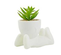 Piante Finte Succulente per Casa per Bagno Camera da Letto Soggiorno Decorazione