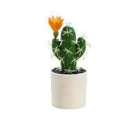 Piante grasse artificiale - 15 cm grande cactus artificiale, verde realistico, vaso di resina durevole, pianta decorativa per interni come scrivania, tavolo, Re