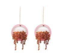 piante grasse artificiali da appendere, 31 cm, finta collana di perle in vaso con cordino da 21 cm per decorazione di pareti interne ed este