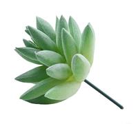 Piante grasse artificiali di loto per la decorazione della casa e del giardino, materiali ecologici, esplora le possibilità fai da te con stili unici (MM515 (MM249 (14 cm)