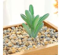 Piante grasse artificiali di loto per la decorazione della casa e del giardino, materiali ecologici, esplora le possibilità fai da te con stili unici (MM515 (MM008 (10 cm)