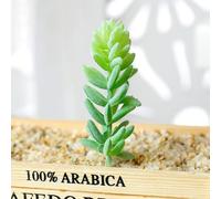 Piante grasse artificiali di loto per la decorazione della casa e del giardino, materiali ecologici, esplora le possibilità fai da te con stili unici (MM515 (12 cm)