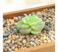 Piante grasse artificiali di loto per la decorazione della casa e del giardino, materiali ecologici, esplora le possibilità fai da te con stili unici (MM515 (MM202 (5,5 cm)