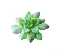 Piante grasse artificiali di loto per la decorazione della casa e del giardino, materiali ecologici, esplora le possibilità fai da te con stili unici (MM515 (MM002 (11 cm)