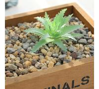 Piante grasse artificiali di loto per la decorazione della casa e del giardino, materiali ecologici, esplora le possibilità fai da te con stili unici (MM515 (MM902(6,5 cm)