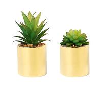 Piante grasse artificiali finte, 17,8 cm e 12,7 cm, in vaso, decorazione per la casa, set di 2 vasi dorati