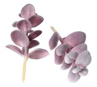 Piante grasse artificiali floccate, viola, per mini vaso, flora finta per soggiorno, camera da letto, mensola, facile da pulire, confezione da 2 pezzi (B)