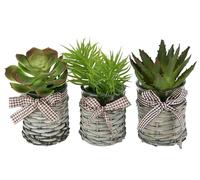 Piante grasse artificiali in vaso, set da 3 pezzi, 15 cm, agave aloe vera, cactus artificiale, pianta decorativa, pianta verde, pianta da interni, pianta da tavolo, pianta artificiale