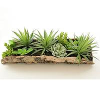 Piante grasse artificiali in vero legno di corteccia, 43 x 16 cm, decorazione da tavolo verde piante artificiali in ciotola di corteccia