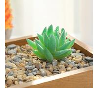 Piante grasse artificiali per la decorazione della casa e del giardino, composizione floreale di loto finto, materiale PVC+PE, altezza 621 cm, diametro 69 cm, fai da te