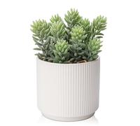 Piante grasse artificiali, piante artificiali in vaso, piante grasse artificiali, piante artificiali come vere, per bagno, camera da letto, soggiorno, scrivania, 18 cm