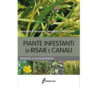 Piante infestanti di risaie e canali. Botanica e riconoscimento