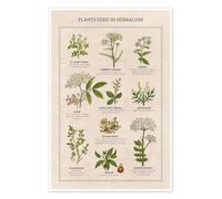 Piante medicinali (inglese) Poster di Vintage Educational Collection 20 x 30 cm Quadri Decorazione per pareti