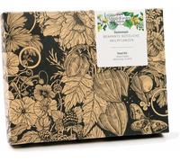 Piante Medicinali Utili - Set Regalo Di Semi Con 5 Erbe Con Potere Curativo