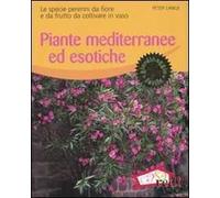 Piante mediterranee ed esotiche. Le specie perenni da fiore e da frutto da coltivare in vaso