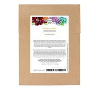 Piante mellifere - set di semi con 5 piante da fiore che attirano insetti utili