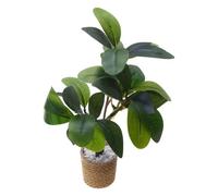 Piante Per Casa Delle Bambole Modelli di Verde Artificiale in 1 6