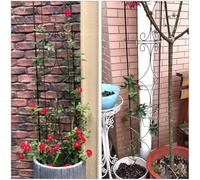 Piante rampicanti - Griglia di supporto curva in acciaio per uso interno ed esterno in vaso 3 pezzi regolabile per piante da giardino telaio in metallo per traliccio (nero)