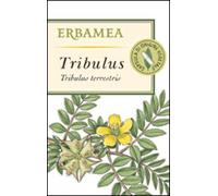 Piante Singole in Capsule Erbamea