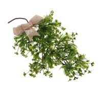 Piante Sospese Da Interno Di Vite Decorazione Della Parete Corridoio