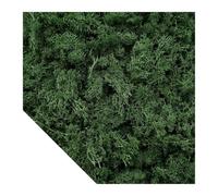 Piante verdi artificiali Muschio Erba Mini Paesaggio Artigianato fai da te Vita Erba finta for la decorazione della casa da giardino 500/1000/100g(Dark green,500g)