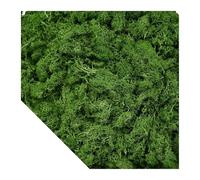 Piante verdi artificiali Muschio Erba Mini Paesaggio Artigianato fai da te Vita Erba finta for la decorazione della casa da giardino 500/1000/100g(Green,500g)
