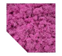 Piante verdi artificiali Muschio Erba Mini Paesaggio Artigianato fai da te Vita Erba finta for la decorazione della casa da giardino 500/1000/100g(Pink,100g)