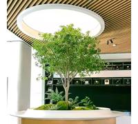 Piante verdi bioniche di alta qualità for l'architettura del paesaggio d'interni, alberi artificiali decorativi, grandi alberi artificiali e paesaggi semplici(2m)