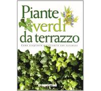 Piante verdi da terrazzo