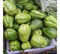 piantedafruttodell'del pane,propagazione dei semipianteresistenti in vaso da giardino resistenti nel giardino crescita decorazioni 30semi