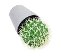 Piantina Finta Da Scrivania Bonsai Finto Pianta Cactus Artificiale