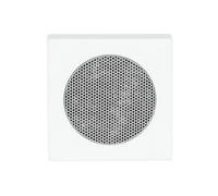 PIASTRA CENTRALE PER ALTOPARLANTE BUSCH-JAEGER Future Axcent, Compatibile con supporto altoparlante 8223 U, Bianco, Grigio