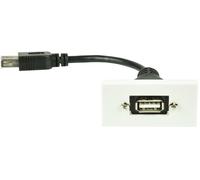 Piastra da Muro USB 2.0 50MMX25MM Modulo,Prodotto Gamma Av Link Modulare W Per :