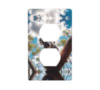 Piastra da parete 11,4 x 7 cm YYHWHJDE Cute Little Koala Prints Materiale PC durevole, resistente al calore e allo sbiadimento, facile da pulire, dimensioni standard