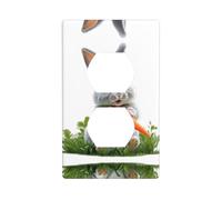 Piastra da parete 11,4 x 7 cm YYHWHJDE Rabbit che mangia carota stampa piacevole materiale PC durevole, resistente al calore e allo sbiadimento, facile da pulire, dimensioni standard