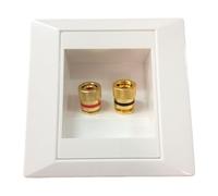 Piastra da parete per altoparlante, accessorio per l'installazione audio, piastra a parete a due porte, connettore in oro premium, compatibile con tappo a banana, interfaccia altoparlante affidabile