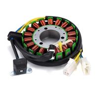 Piastra Dello Statore Bobina Statore Moto Per United Motor V2S 650 V2C 650R Per ATK GT 650R Carb GV 650 Carb Accensione Piastra Statore