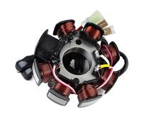 Piastra Dello Statore Bobine Accensione Bobina Statore Per EXC 250 300XCW 200 XC XCW EXC-E SIX Days 250R Freeride 55139004000 Accensione Piastra Statore