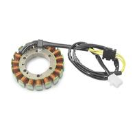 Piastra Dello Statore Magnete Per XV400 XV500 XV535 VIRAGO 400 500 535 XVS400 XVS650 Drag Star XVS650A V-Star Statore Bobina 2GV-81410-20 4VR-81410-00