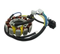 Piastra Dello Statore Magnete Per YBR125 YB 125 XTZ125 2006-2008 Moto Bobina Statore Magnetica A 8 Poli