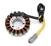Piastra Dello Statore Moto Statore Bobina Per CHALLENGER 180 215IC 230 155NA 215 SCIC Per SPEEDSTER 150 155NA 215IC 2007 Accensione Piastra Statore