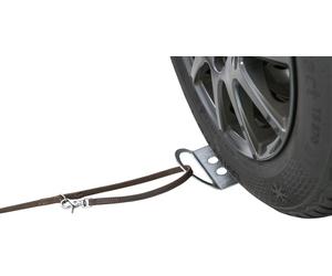 Piastra di accesso per il guinzaglio 12 × 26 cm