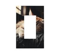 Piastra di copertura per interruttore a parete con gattino che fa un pisolino, copertura per presa elettrica a parete, per cucina, camera da letto, decorazione