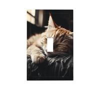 Piastra di copertura per interruttore a parete con gattino che fa un pisolino, copertura per presa elettrica a parete, per cucina, camera da letto, decorazione